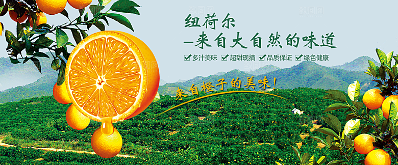 电商生鲜水果横幅海报BANNER