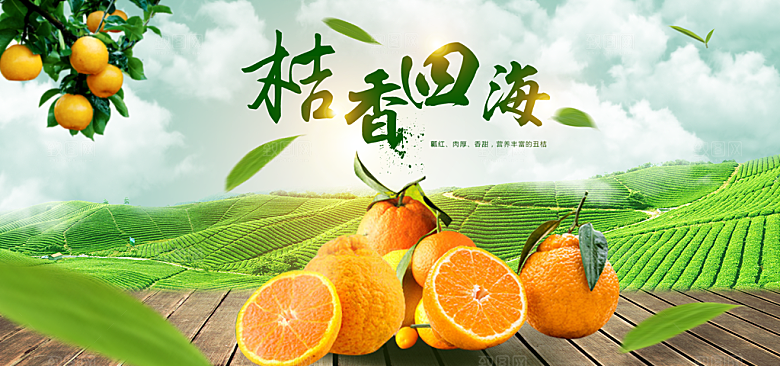 电商生鲜水果横幅海报BANNER