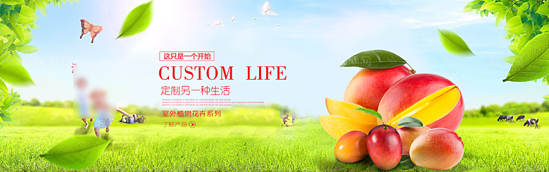 电商生鲜水果横幅海报BANNER