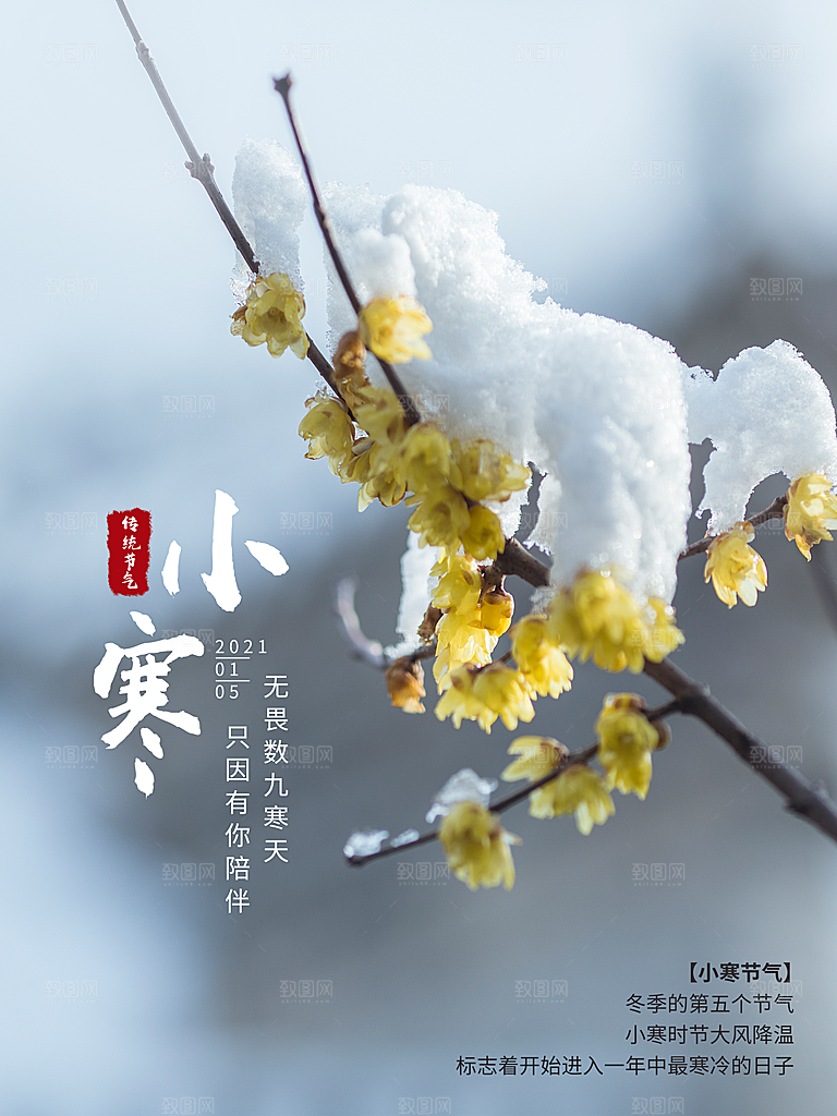 小寒节气推广宣传海报