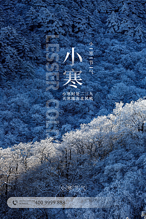 小寒节气推广宣传海报
