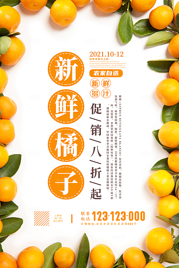 柑橘橘子橙子蜜桔设计海报