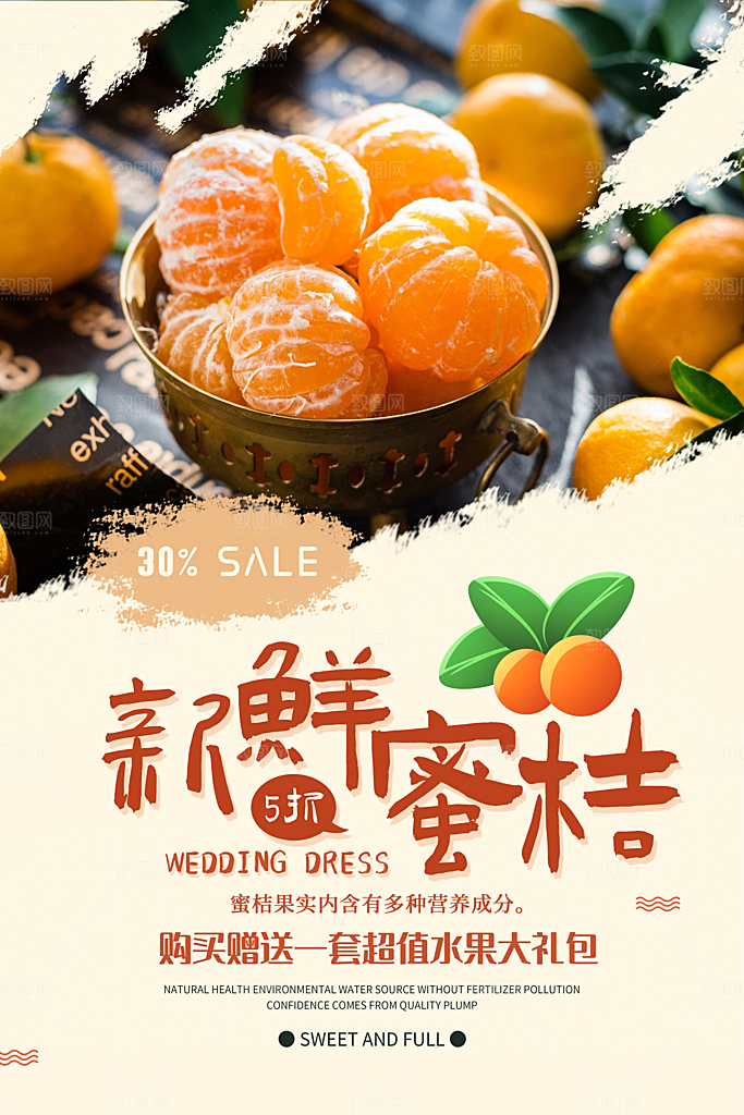 柑橘橘子橙子蜜桔设计海报