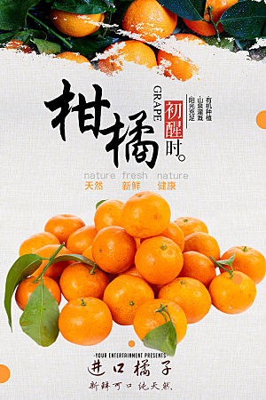 柑橘橘子橙子蜜桔设计海报