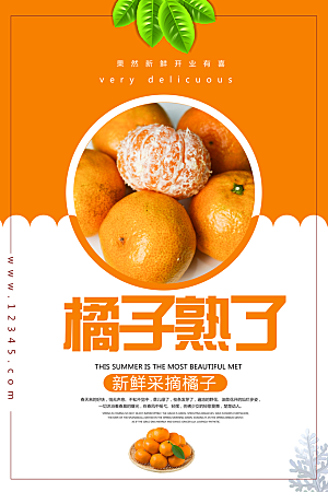 柑橘橘子橙子蜜桔设计海报
