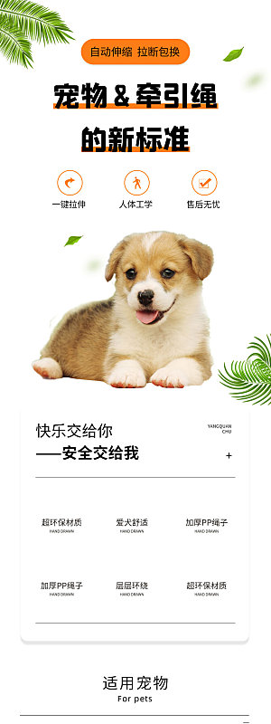 电商宠物店宠物用品详情页