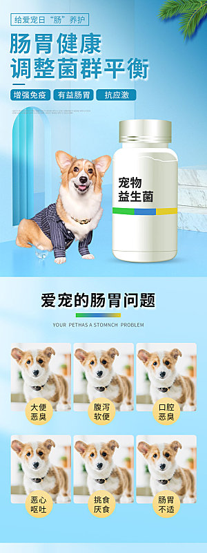 电商宠物店宠物用品详情页