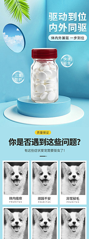 电商宠物店宠物用品详情页