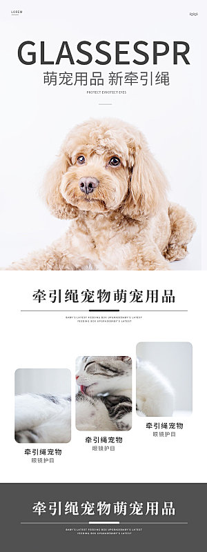 电商宠物店宠物用品详情页