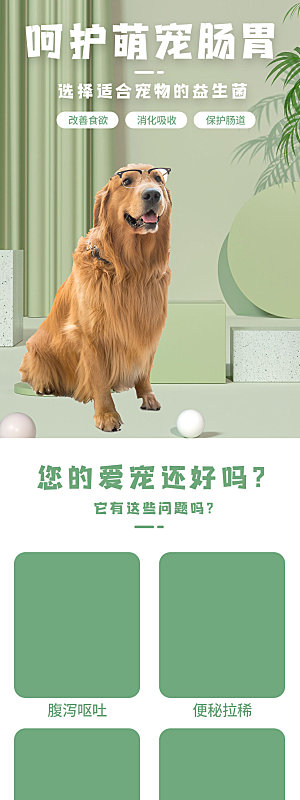 电商宠物店宠物用品详情页