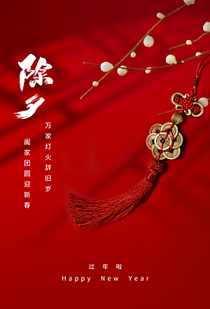 除夕节日红色海报中国传统节日