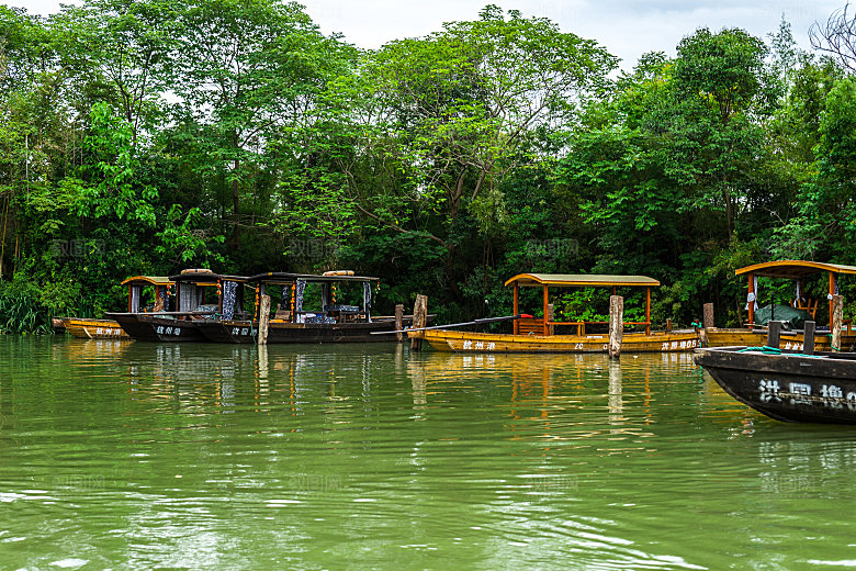 自然风光茶园湖泊建筑风景