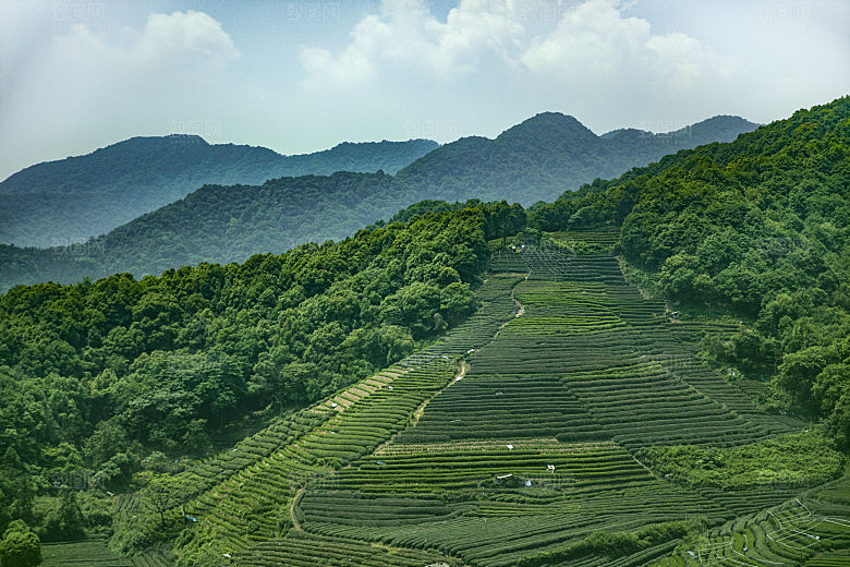 自然风光茶园湖泊建筑风景