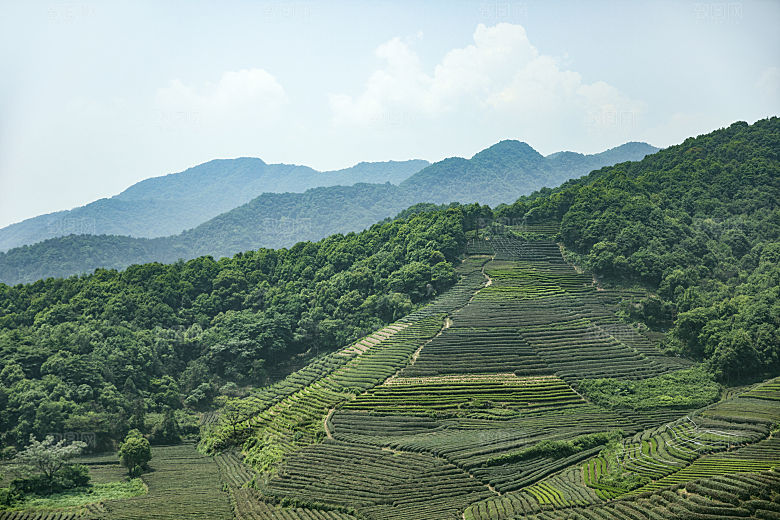 自然风光茶园湖泊建筑风景