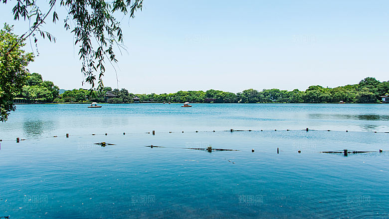 自然风光茶园湖泊建筑风景
