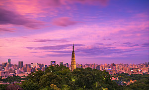 自然风光茶园湖泊城市建筑风景