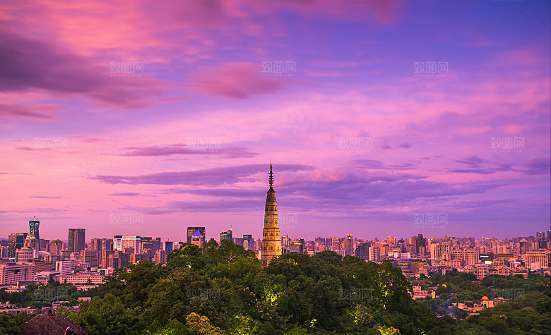 自然风光茶园湖泊城市建筑风景