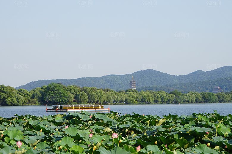 自然风光茶园湖泊城市建筑风景