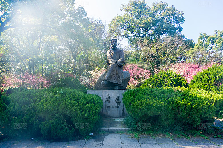 自然风光茶园湖泊城市建筑风景