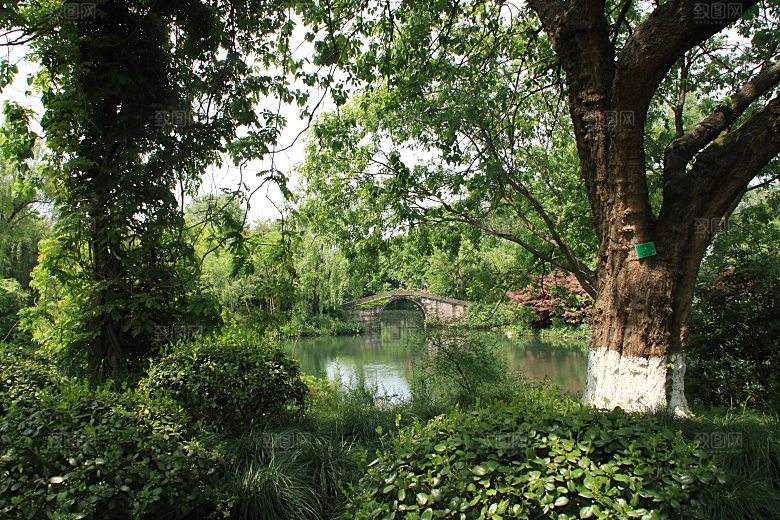 自然风光茶园湖泊城市建筑风景