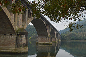 自然风光茶园湖泊城市建筑风景