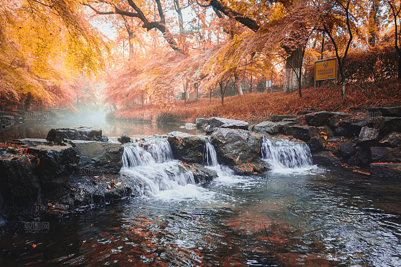 自然风光茶园湖泊城市建筑风景