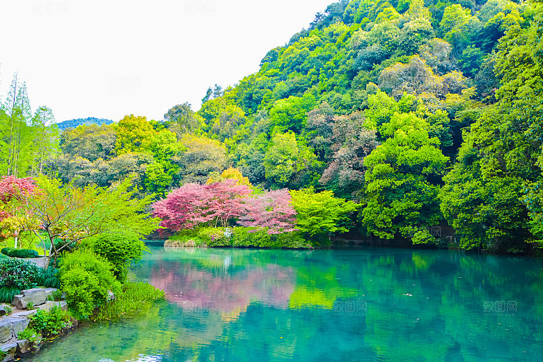 自然风光茶园湖泊城市建筑风景