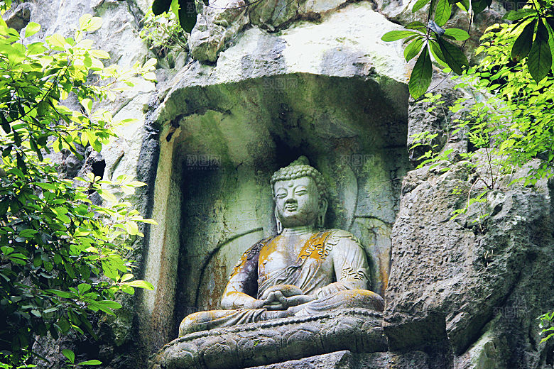 自然风光茶园湖泊城市建筑风景