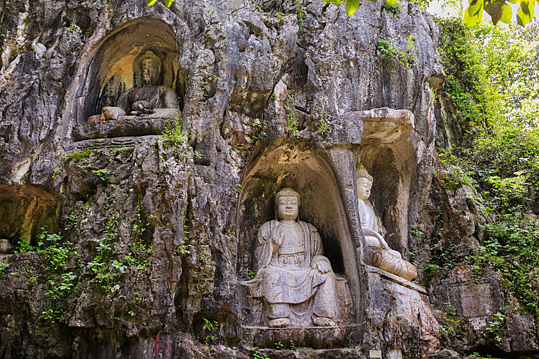 自然风光茶园湖泊城市建筑风景