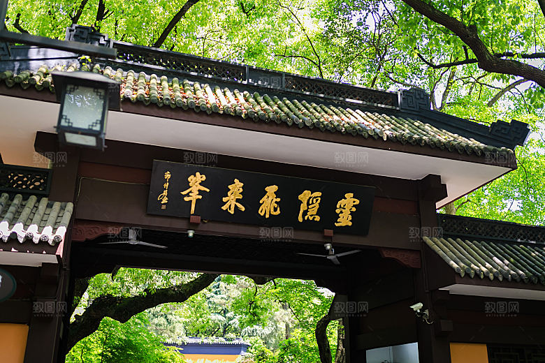 自然风光茶园湖泊城市建筑风景