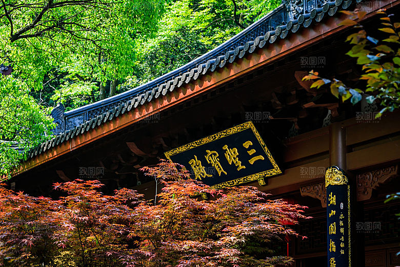 自然风光茶园湖泊城市建筑风景