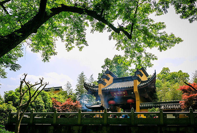 自然风光茶园湖泊城市建筑风景