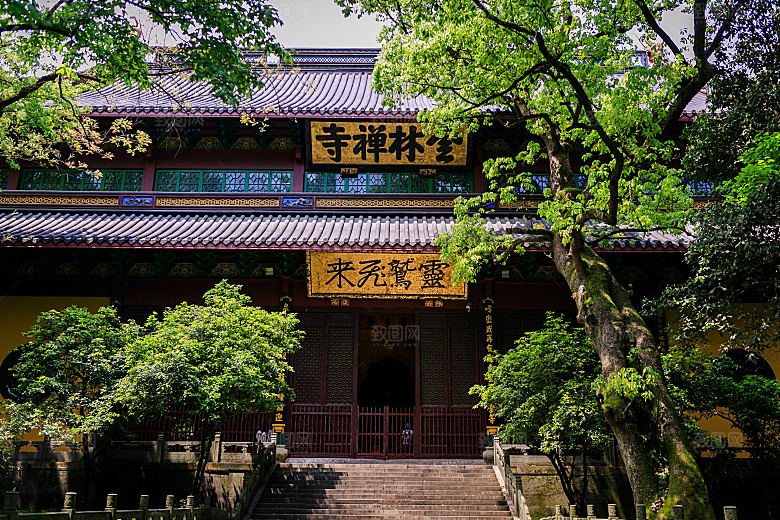 自然风光茶园湖泊城市建筑风景
