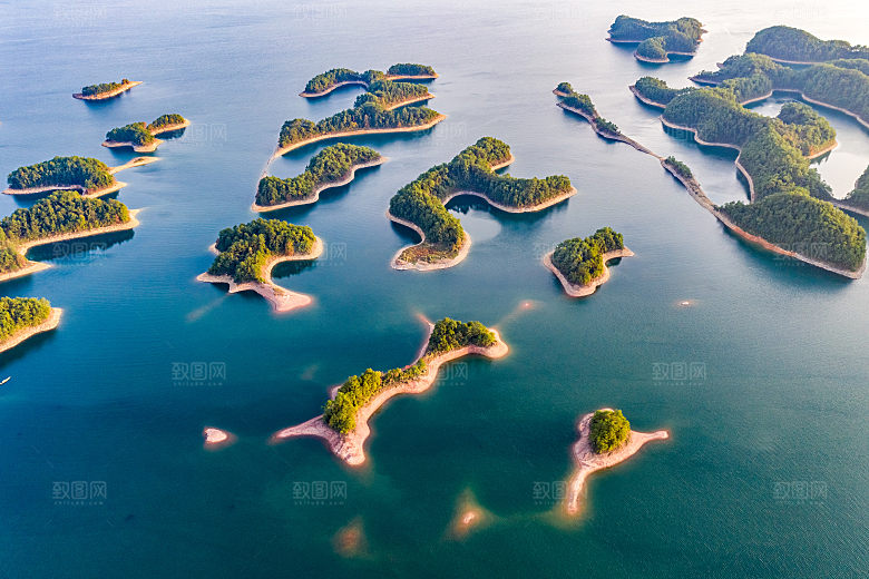 自然风光茶园湖泊城市建筑风景