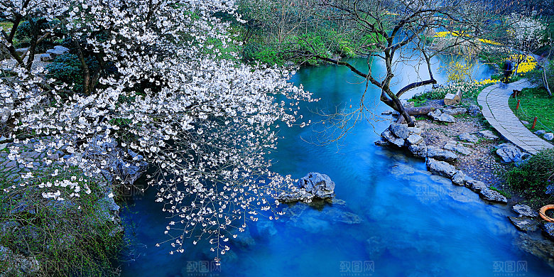 自然风光茶园湖泊建筑风景
