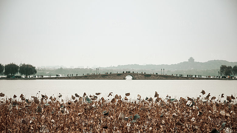 自然风光茶园湖泊建筑风景