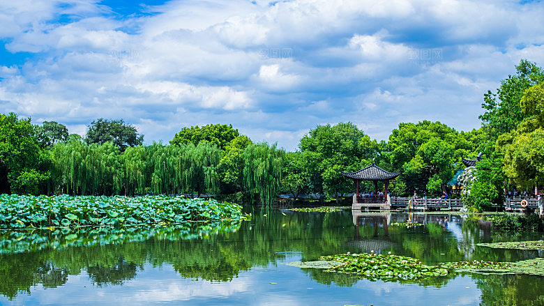 自然风光茶园湖泊建筑风景
