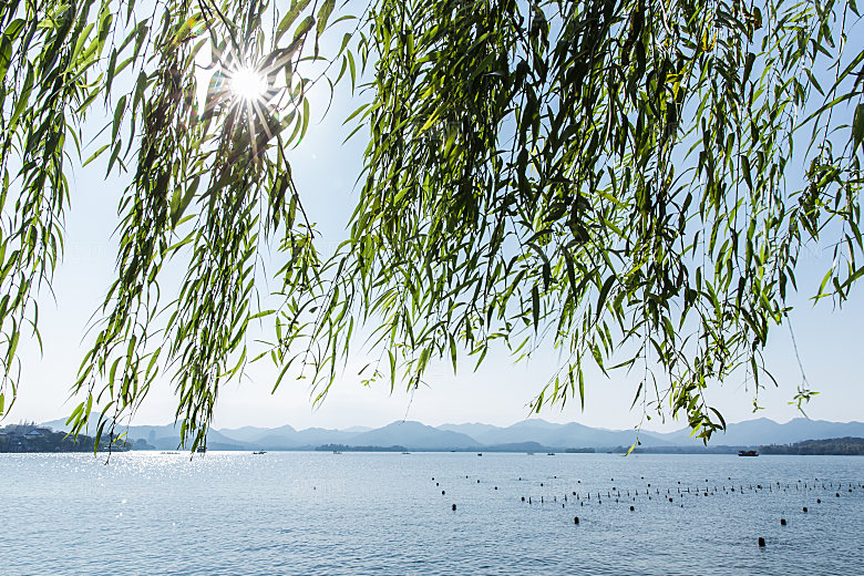自然风光茶园湖泊建筑风景