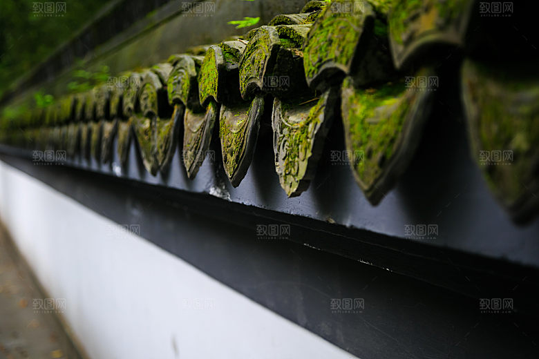 自然风光茶园湖泊建筑风景