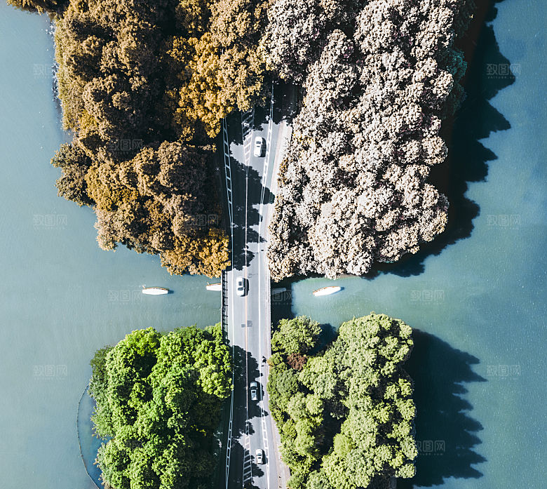 自然风光茶园湖泊建筑风景