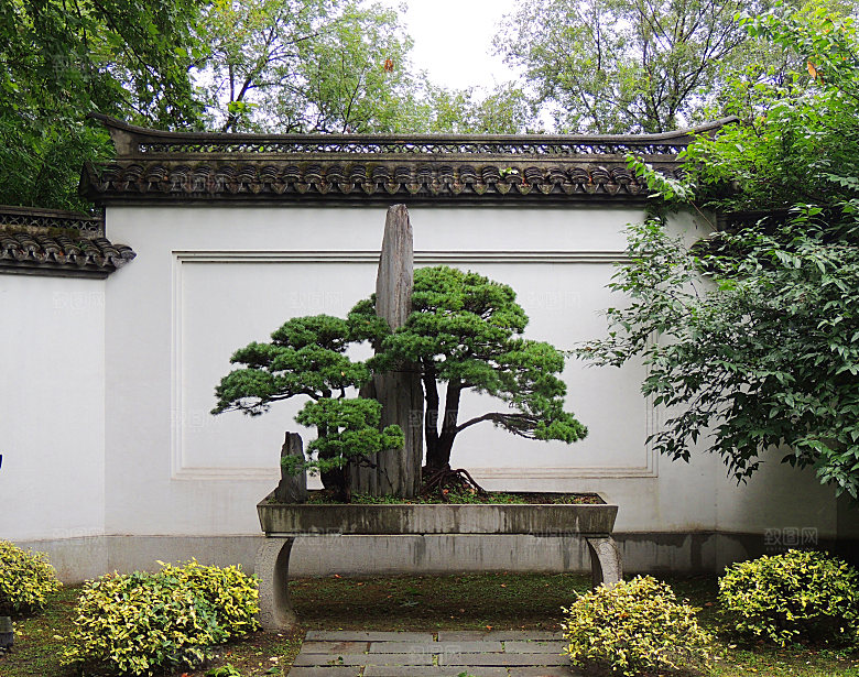 自然风光茶园湖泊建筑风景