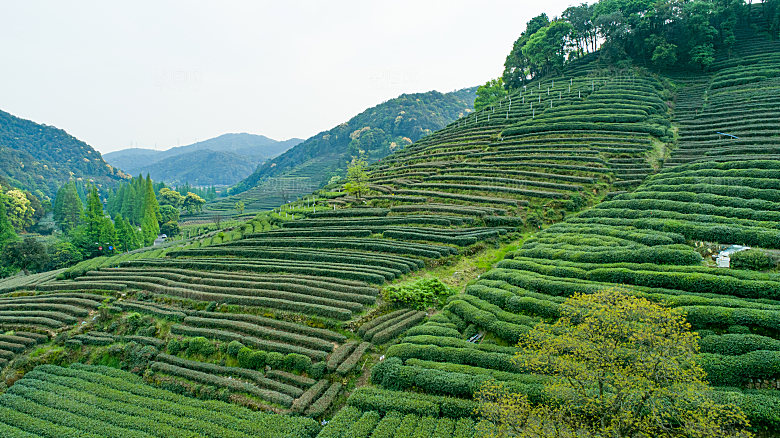 杭州西湖旅游风景文化集市建筑