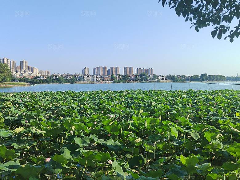 水天一色下的远处城市