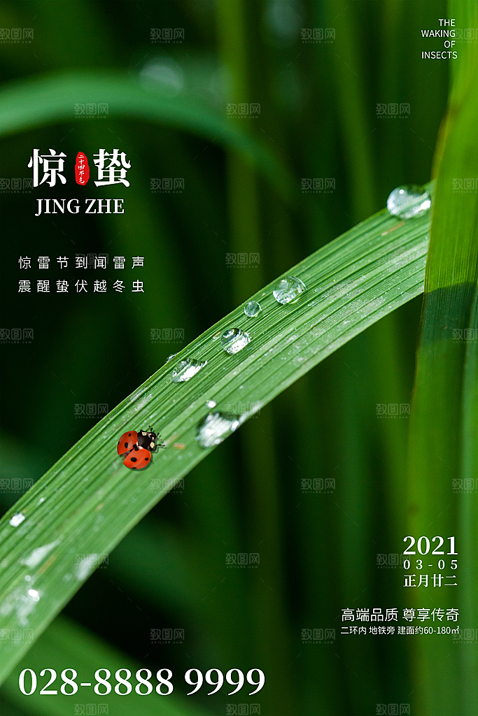 惊蛰节气推广宣传海报