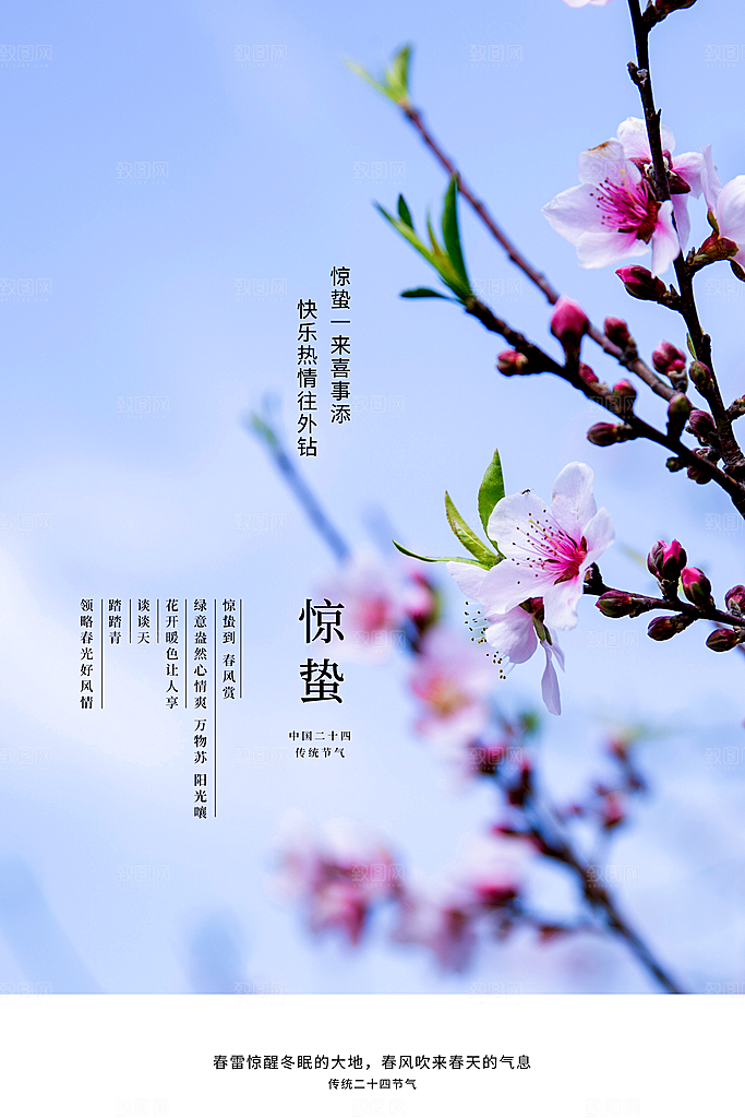 惊蛰节气推广宣传海报