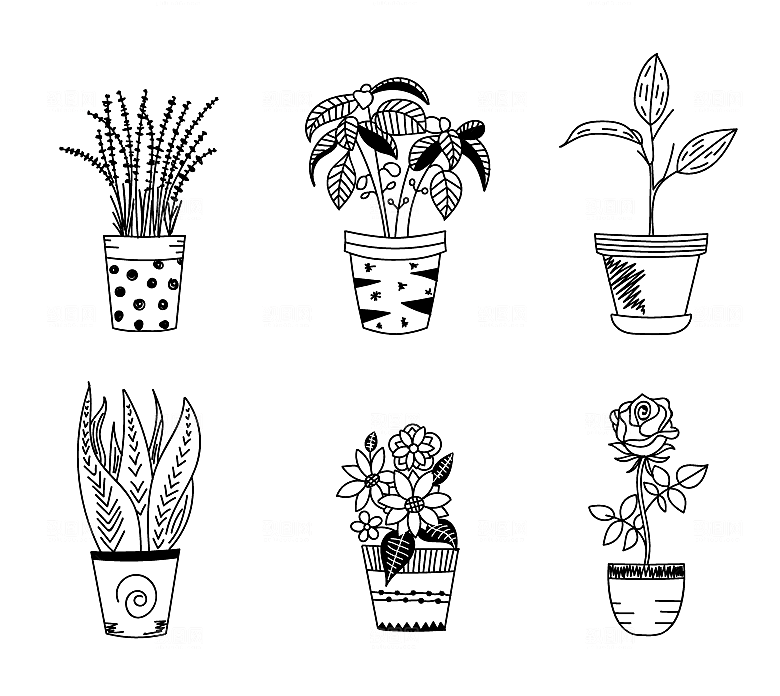 素描线描盆栽绿植矢量元素