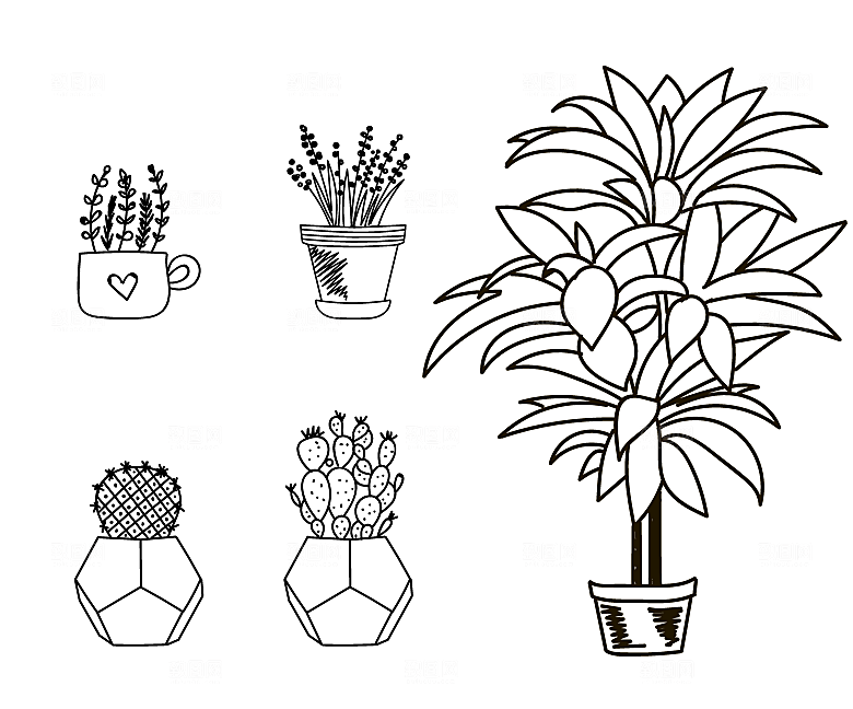 素描线描盆栽绿植矢量元素