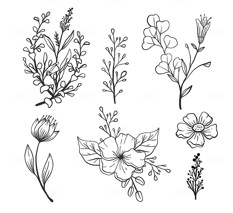 手绘素描花卉枝叶矢量元素
