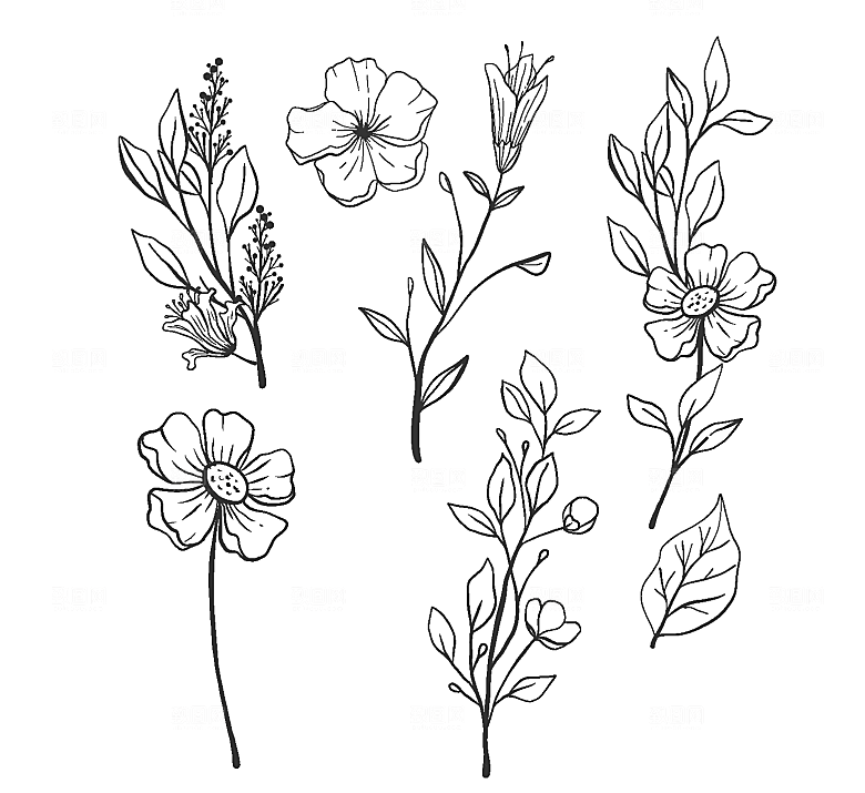 手绘素描花卉枝叶矢量元素