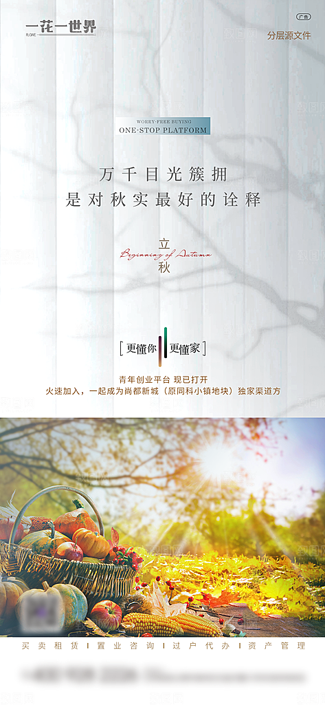 地产二十四节气简约大气海报